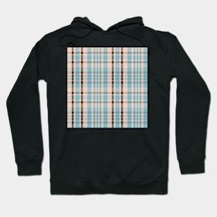 Autumn Aesthetic Sorcha 1 Hand Drawn Textured Plaid Pattern Hoodie